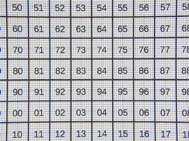 Olympus XZ-2 Nahlinse +4 f4.0