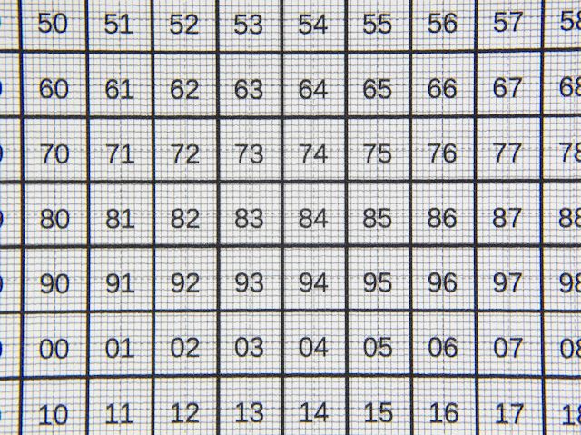 Olympus XZ-2 Nahlinse +4 f05.6