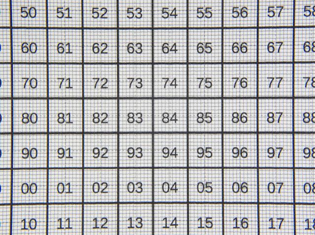 Olympus XZ-2 Nahlinse +4 f8.0